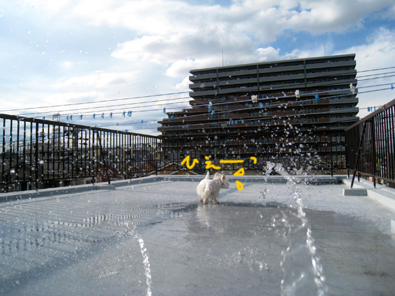 d0134156_17284526.jpg