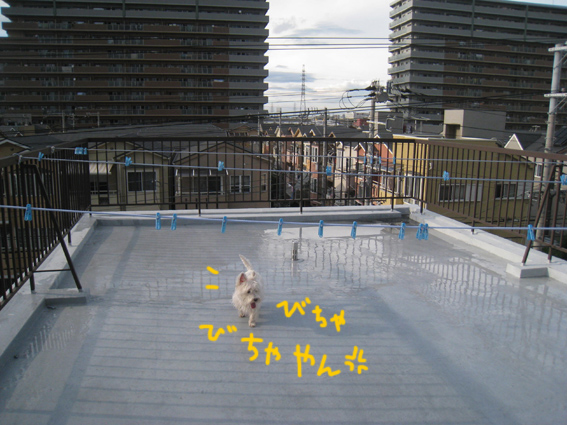 d0134156_17321611.jpg