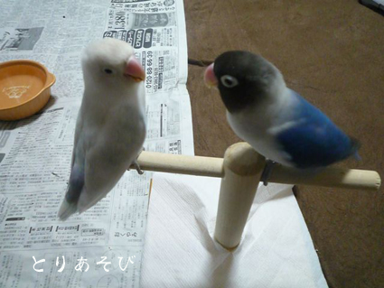 親知らず_e0147757_20464465.jpg