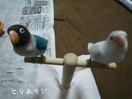 親知らず_e0147757_20473420.jpg