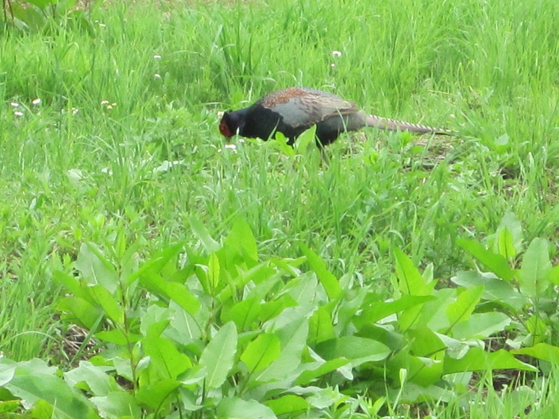 f0236260_125241.jpg