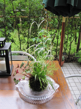 f0236260_1612591.jpg