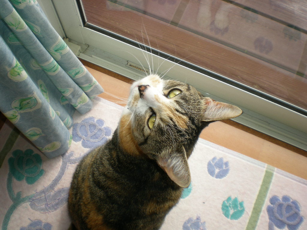 2010年7月5日(月)庭をすっきり!_f0060461_926579.jpg