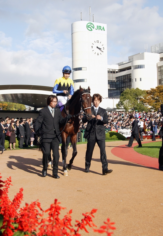 新種牡馬 ディープインパクト２ 菊花賞 Turfに魅せられて 写真紀行