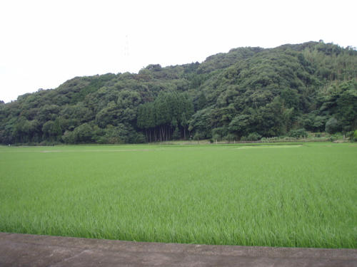 福田祇園祭_a0077071_17361454.jpg