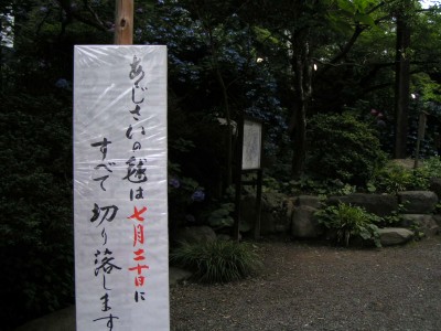 c0112172_1614826.jpg
