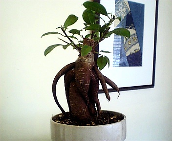 b0001280_13461845.jpg