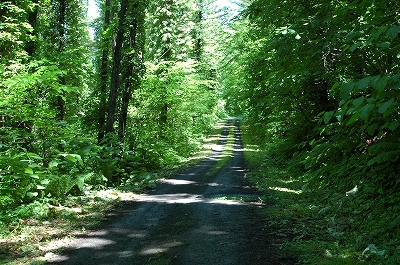 c0212083_0153799.jpg