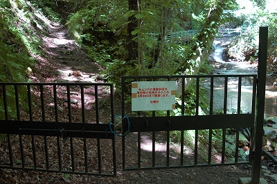 c0212083_017192.jpg