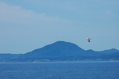 c0212083_0493181.jpg