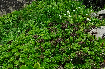 c0212083_0585670.jpg