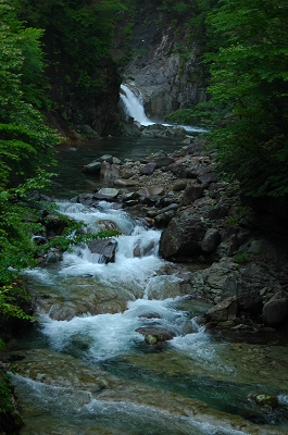 c0212083_1017155.jpg