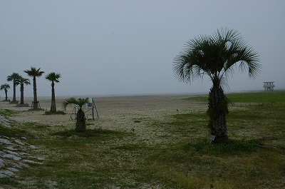 c0212083_1053731.jpg