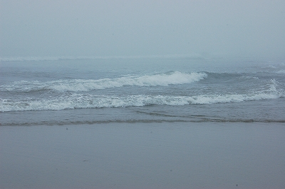 c0212083_1073064.jpg