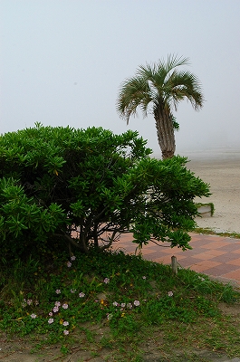 c0212083_1082965.jpg