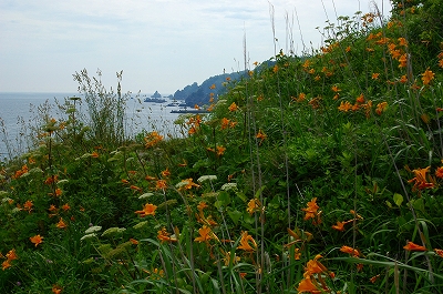 c0212083_8453375.jpg