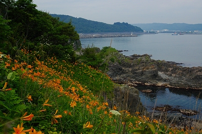 c0212083_8455041.jpg