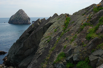 c0212083_8465248.jpg
