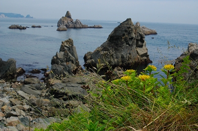 c0212083_8484989.jpg