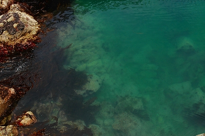 c0212083_8492530.jpg