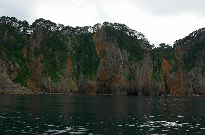 c0212083_8582479.jpg