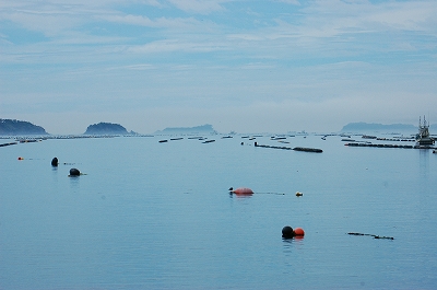 東北・北海道海岸線の旅　十七日目_c0212083_92712.jpg