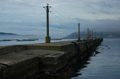 c0212083_929215.jpg