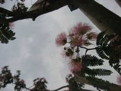 f0053885_20114482.jpg