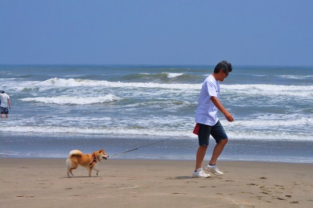 海だ!海だ!_a0126590_22593594.jpg