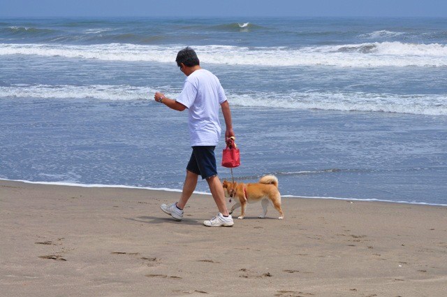 海だ!海だ!_a0126590_23202641.jpg