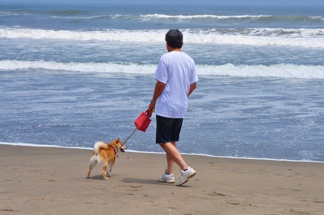 海だ!海だ!_a0126590_2320523.jpg