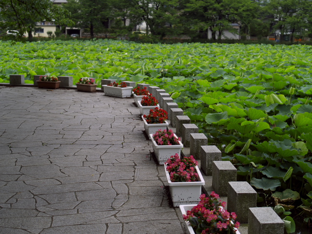 f0024992_8384297.jpg