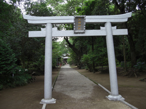 b0075497_14245178.jpg