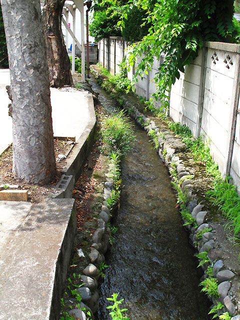 c0163001_073999.jpg