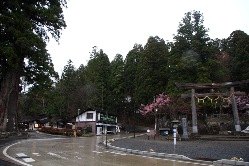 b0180907_2313216.jpg