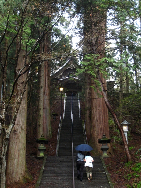 b0180907_2319246.jpg