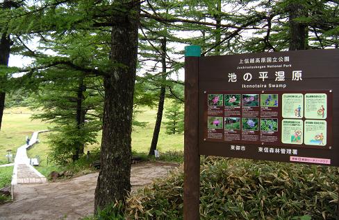 2010年初夏の旅 ③　高峰高原から池の平湿原へ（６月２８日）_f0057509_21473278.jpg