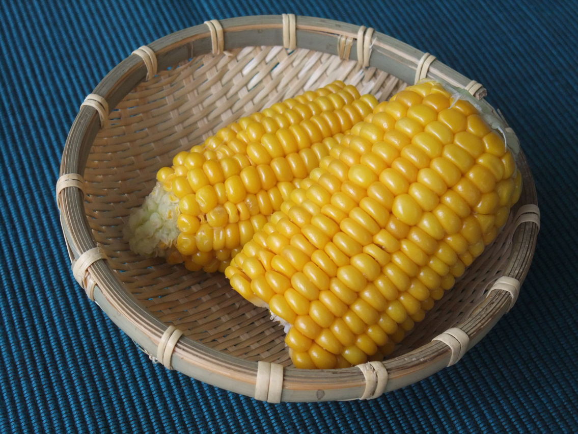 e0146912_12193798.jpg