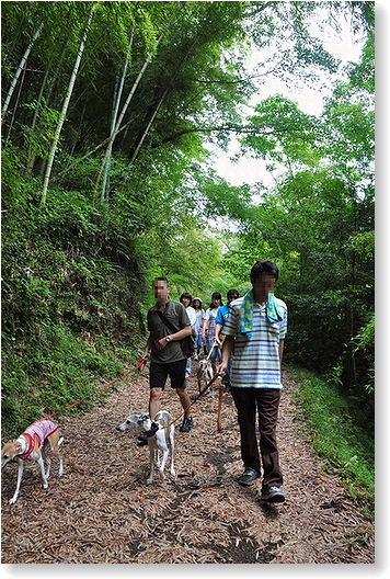 おとうと登場♪　と、その前に…ひとりっ子最後の伊豆旅行_c0158813_14435329.jpg