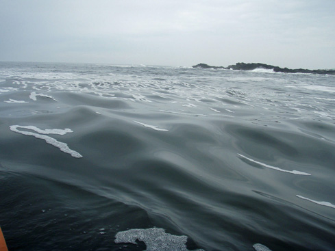 b0117718_16305923.jpg