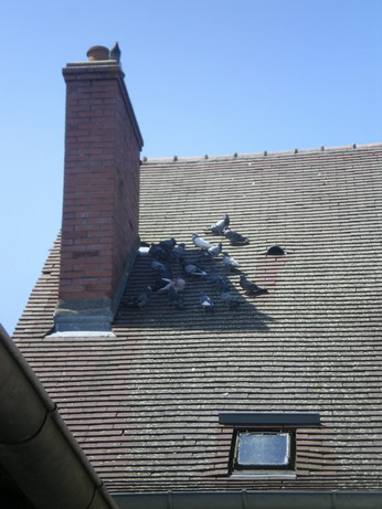 c0124619_514310.jpg