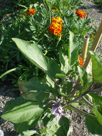 c0124619_5165916.jpg