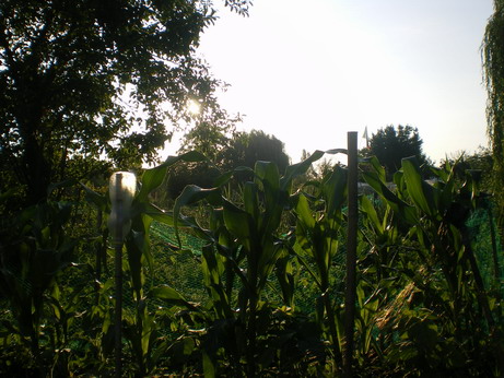 c0124619_5545026.jpg