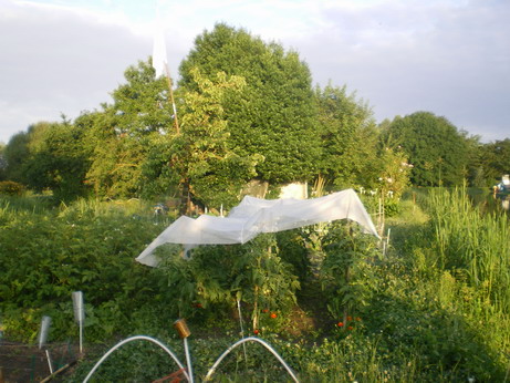 c0124619_5553148.jpg