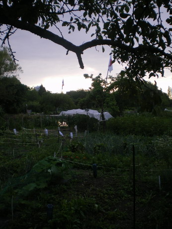 c0124619_55726100.jpg