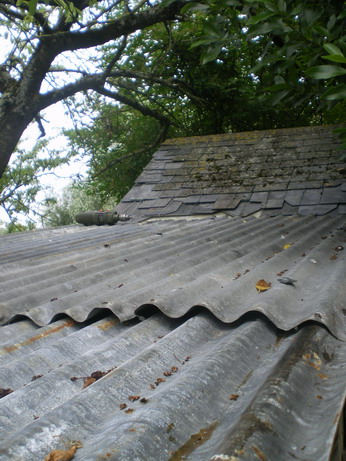 c0124619_5585964.jpg