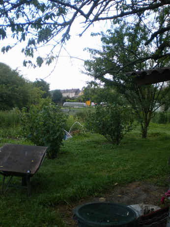 c0124619_558619.jpg
