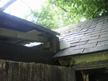 c0124619_604672.jpg
