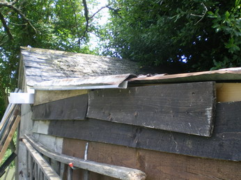 c0124619_615035.jpg