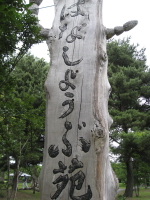 ハナショウブ:菊ヶ丘水郷公園花菖蒲*2010.07.06(五所川原市)_b0147224_21424249.jpg
